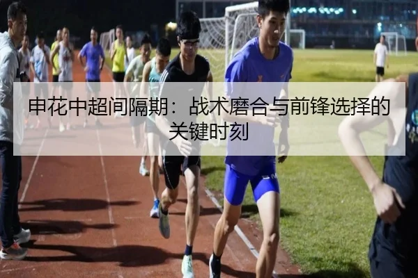 申花中超间隔期：战术磨合与前锋选择的关键时刻