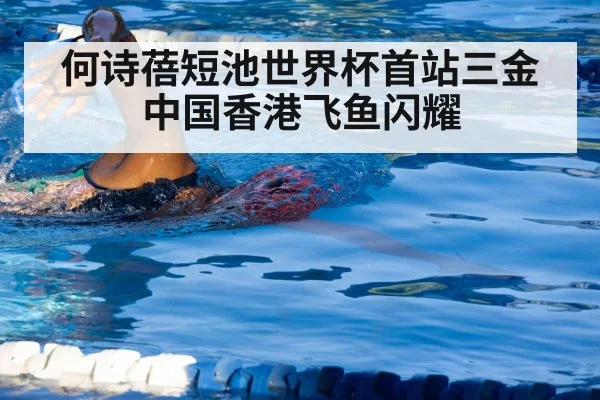 swimmer training technique